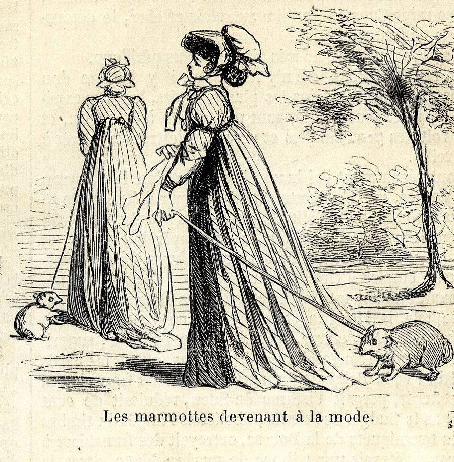 Les marmottes devenant à la mode, 30 juin 1860