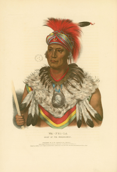 Gravure : Chef Musquakees.<br><i>Histoire des tribus indiennes d'Amérique du nord.<br></i>© Bibliothèque municipale de Grenoble.