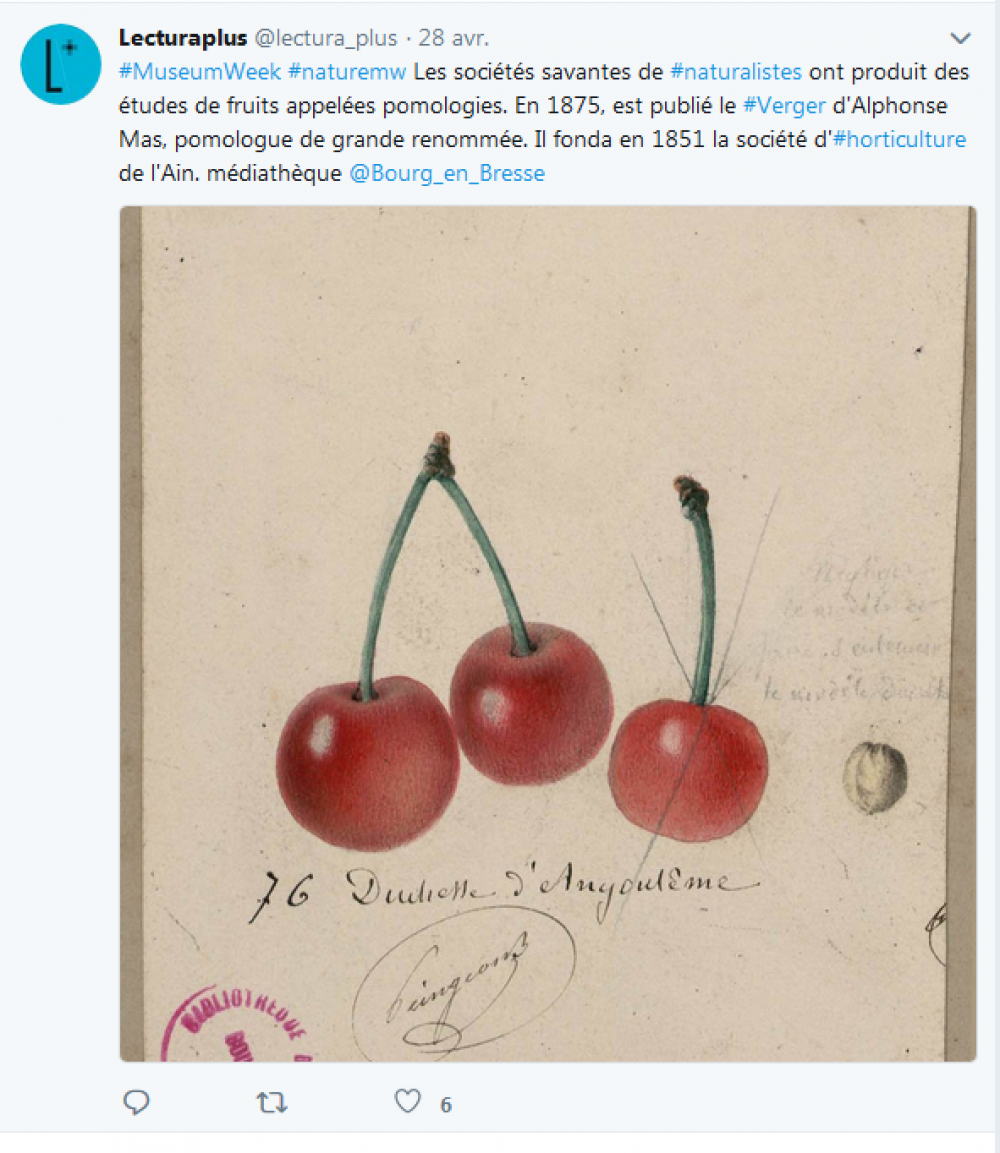 Capture d'écran, tweet de Lectura Plus, samedi 28 avril 2018, #MuseumWeek #NatureMW.