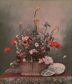 Bouquet dans panier d'osier avec assiettes