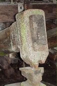 vignette : Martinet terminal