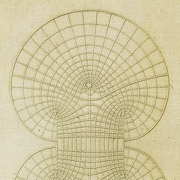 "Traité de l'équilibre et du mouvement des fluides" de d'Alembert