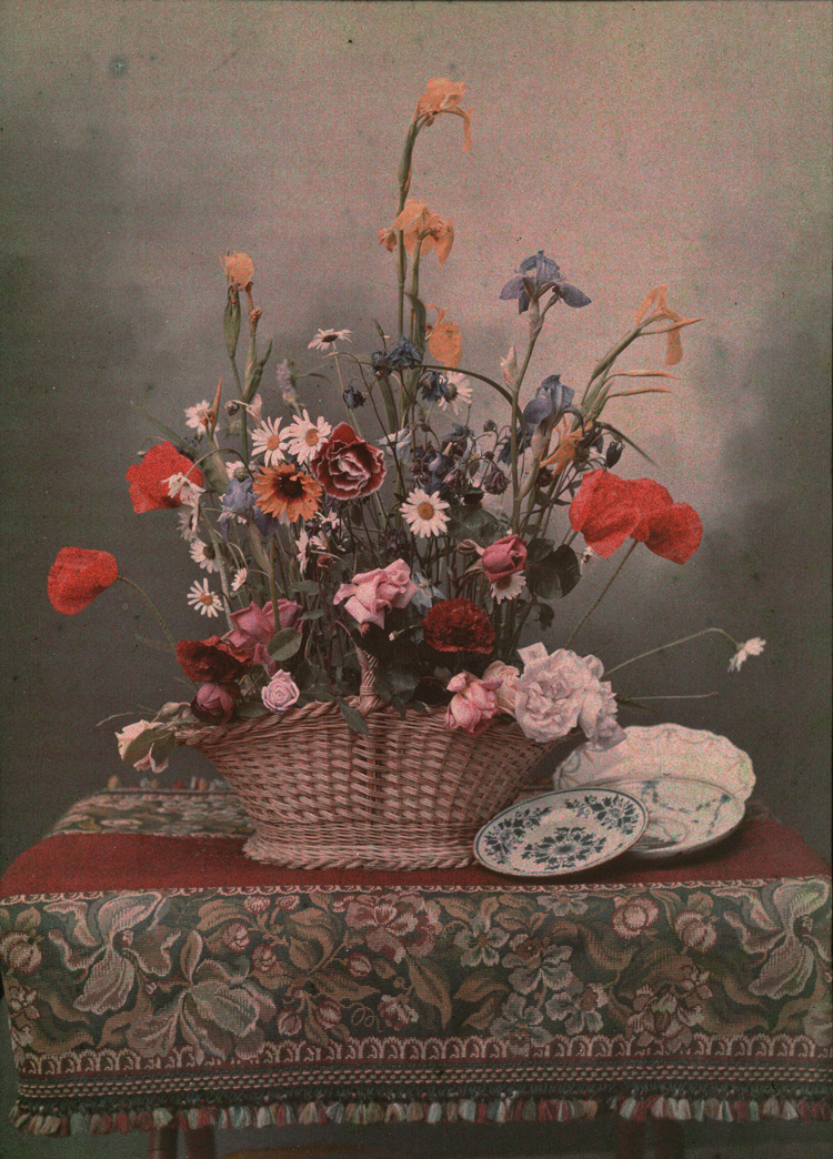 Autochrome. Bouquet dans panier d'osier avec assiettes