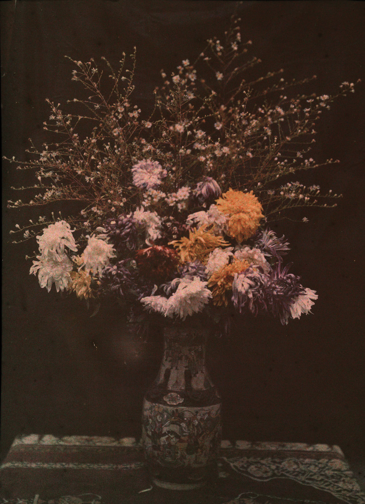 Autochrome. Bouquet aux chrysanthèmes jaunes et blancs