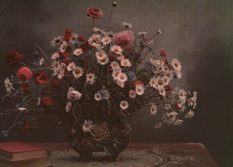 Autochrome. Bouquet champêtre avec livres