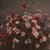 Autochrome. Bouquet champêtre avec un livre