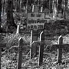 Cimetière dans la forêt de La Chapelotte