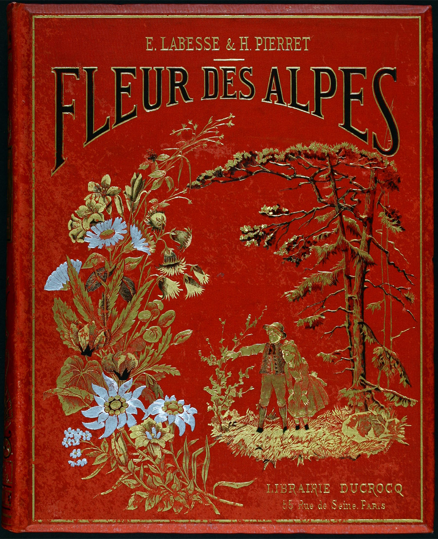 Fleur des Alpes, XIXe siècle