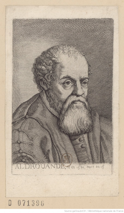 Portrait d'Ulisse Aldrovandi (1522-1605), auteur inconnu, estampe, BnF.<br>