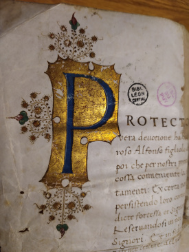 Campagne de signalement des manuscrits en Auvergne-Rhône-Alpes !