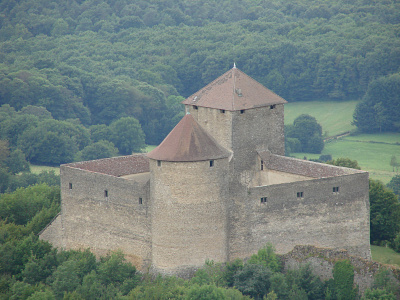 Château des Allymes à Ambérieu-en-Bugey.<div>commons.wikimedia.org CC BY SA</div>