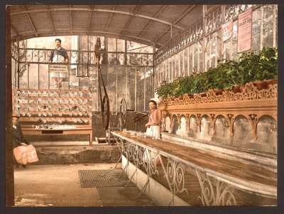 Spring of the Celestins, I, interior, Vichy, France. ca 1900. photochrom. Library of Congress <br>